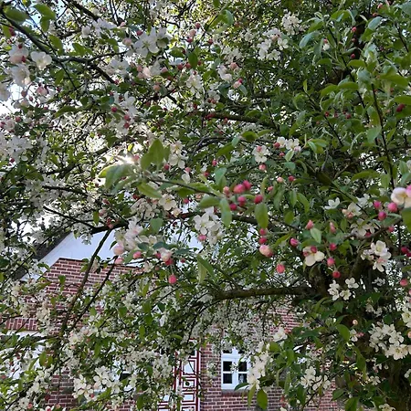 Haus Adele Holiday home Drochtersen