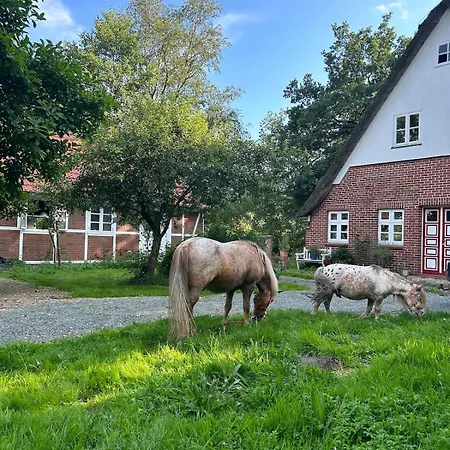 Haus Adele Holiday home *